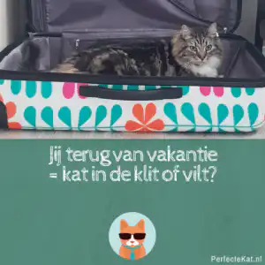 vakantie
