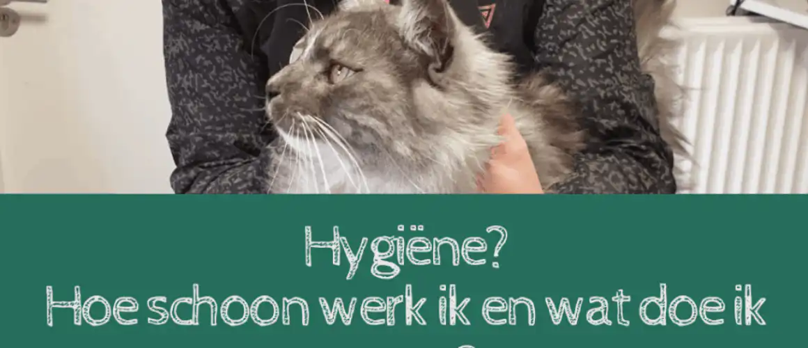 higeine