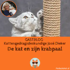 krabpaal