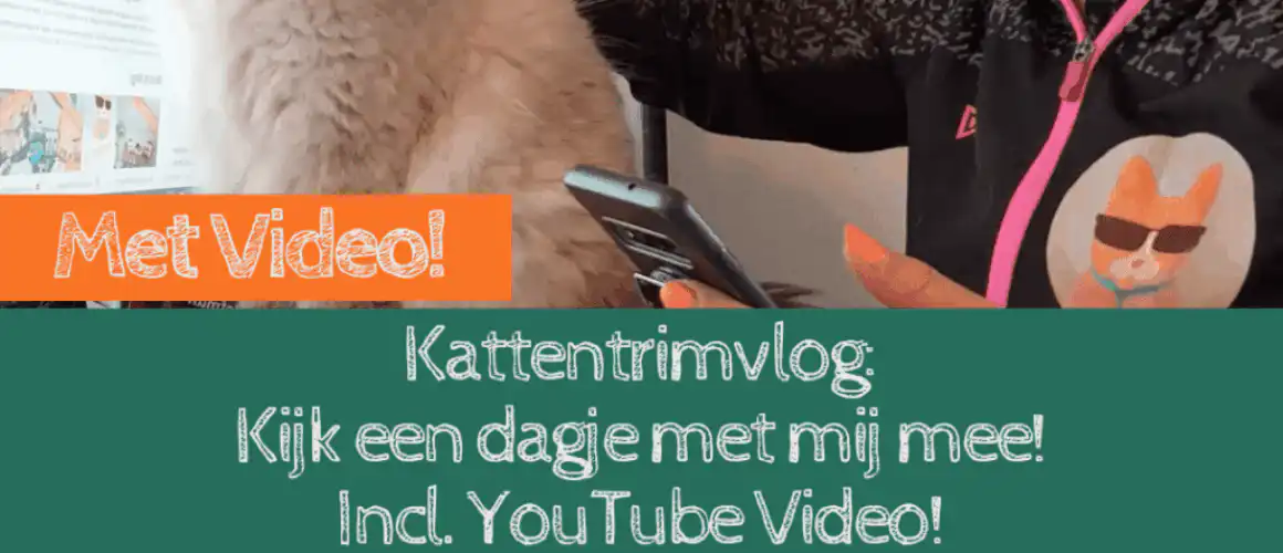 kattentrimvlog20