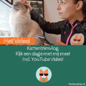 kattentrimvlog