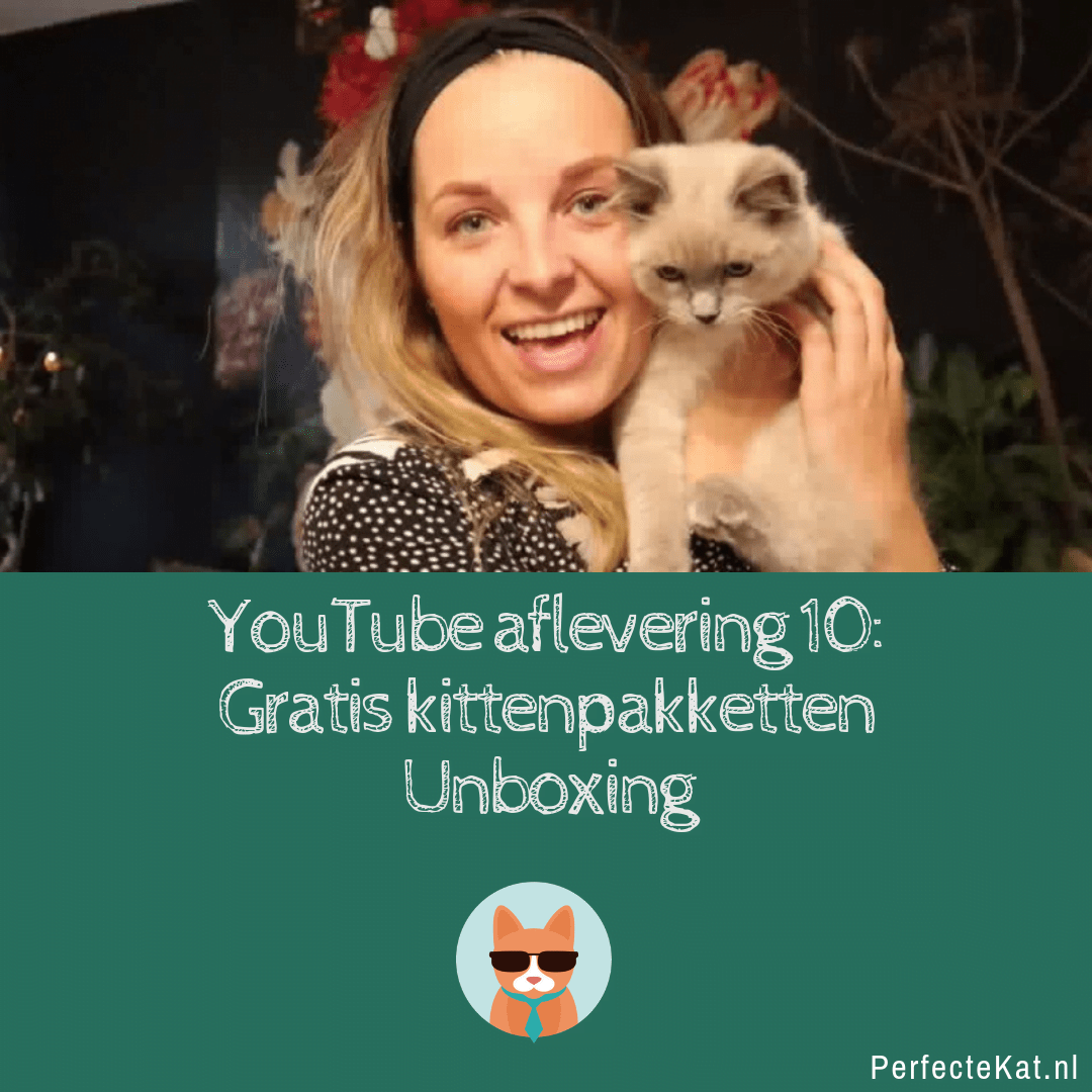 kittenpakketten