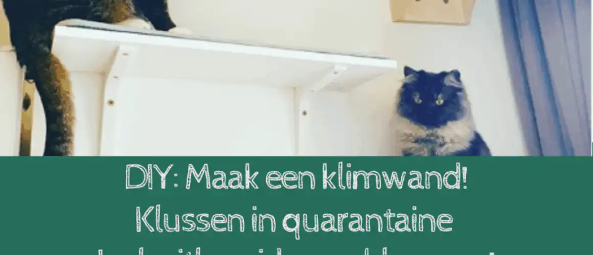 klimmuur-1