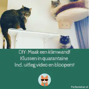 Klimmuur