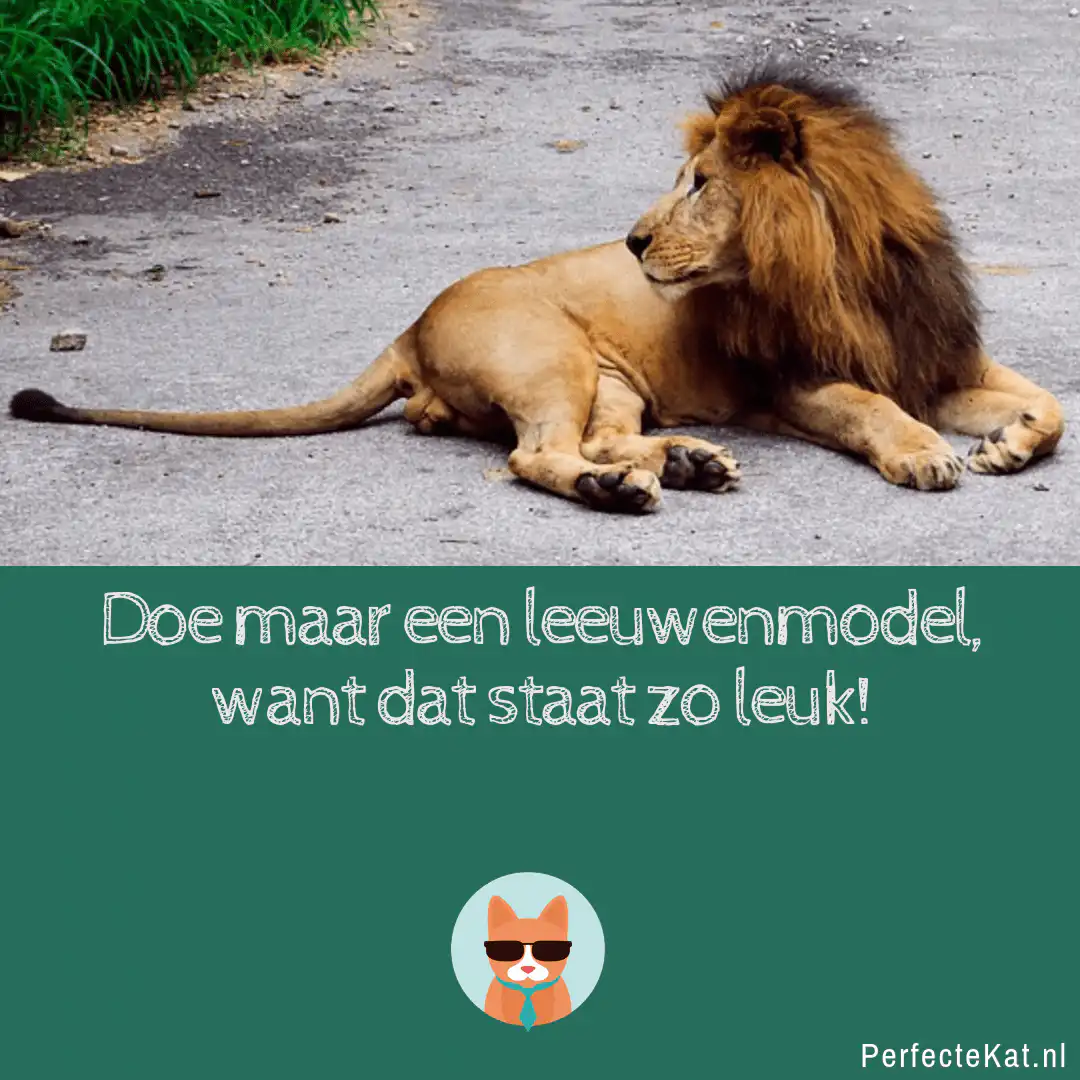 leeuwenmodel-1