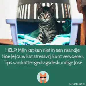 huisbezoeken