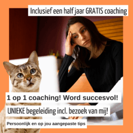 Privé Coaching: Word succesvoller als kattentrimmer met volle agenda!