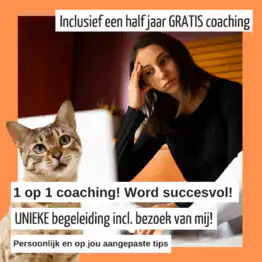 Privé Coaching: Word succesvoller als kattentrimmer met volle agenda!