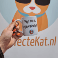 Mok "Mijn kat is mijn valentijn"