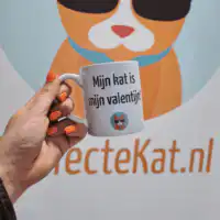 Mok "Mijn kat is mijn valentijn"