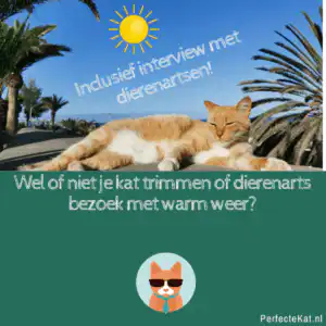 Warm weer