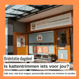 UNIEKE KANS: Meekijken of kattentrimmen iets voor jou is.