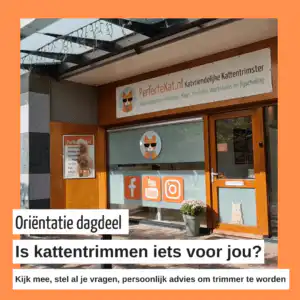Kattentrimmer worden