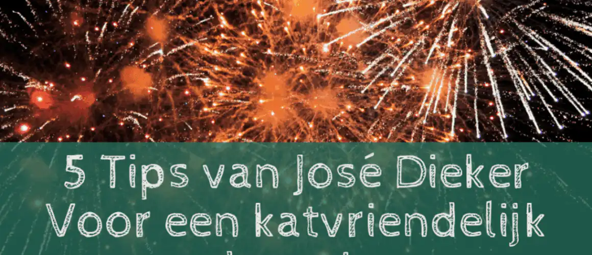 oud-en-nieuw