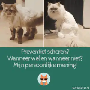 scheren