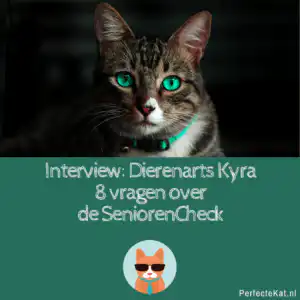 seniorencheck