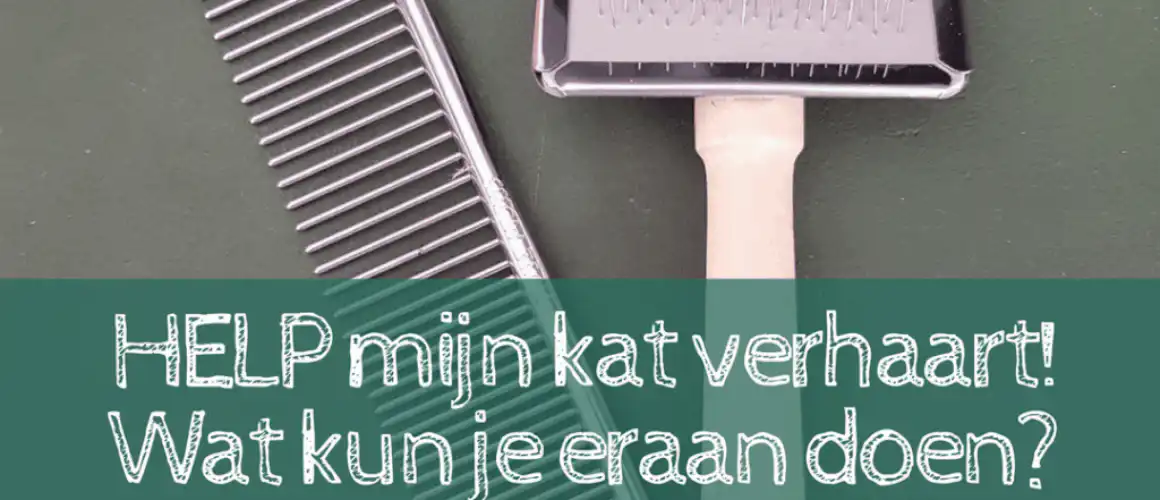verhaart