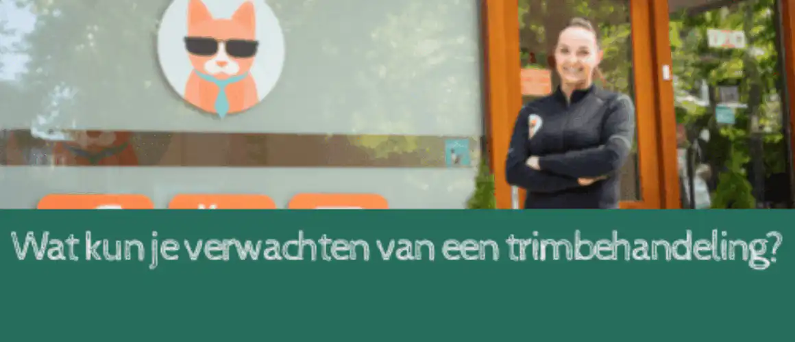 verwachtendef
