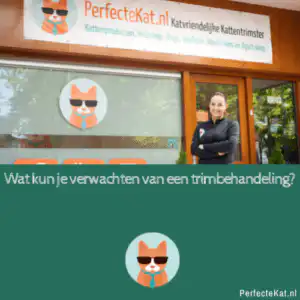 PerfecteKat
