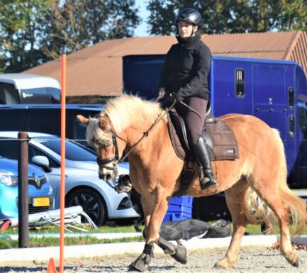 Lees hier meer over mij! Kattentrimster