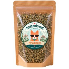 Kattenkruid